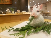 【オススメのアートスポット紹介!Vol. 45】髙島屋京都店6階 美術工芸サロン 「畠中沙綾陶展」